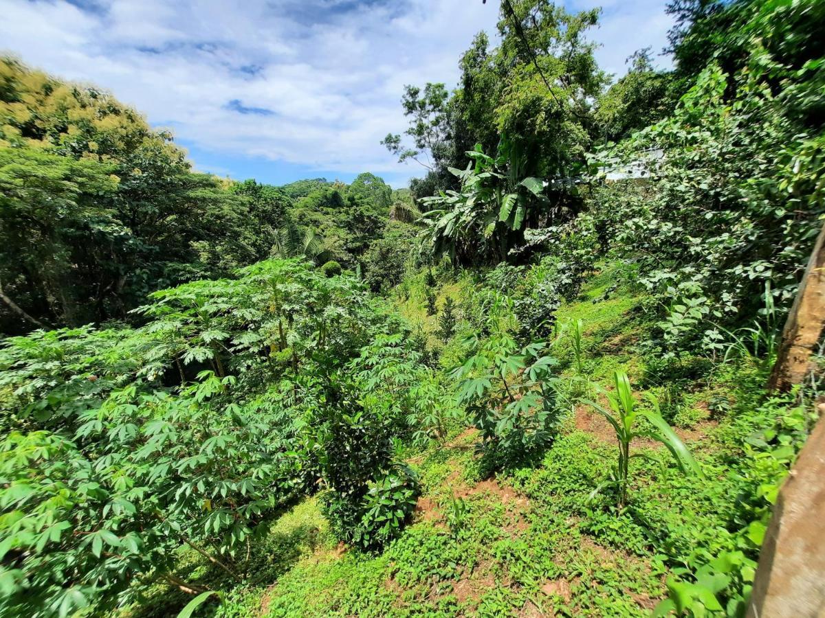 Eco-Turismo Guayacanes Sámara 외부 사진