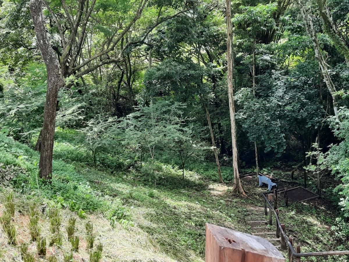 Eco-Turismo Guayacanes Sámara 외부 사진
