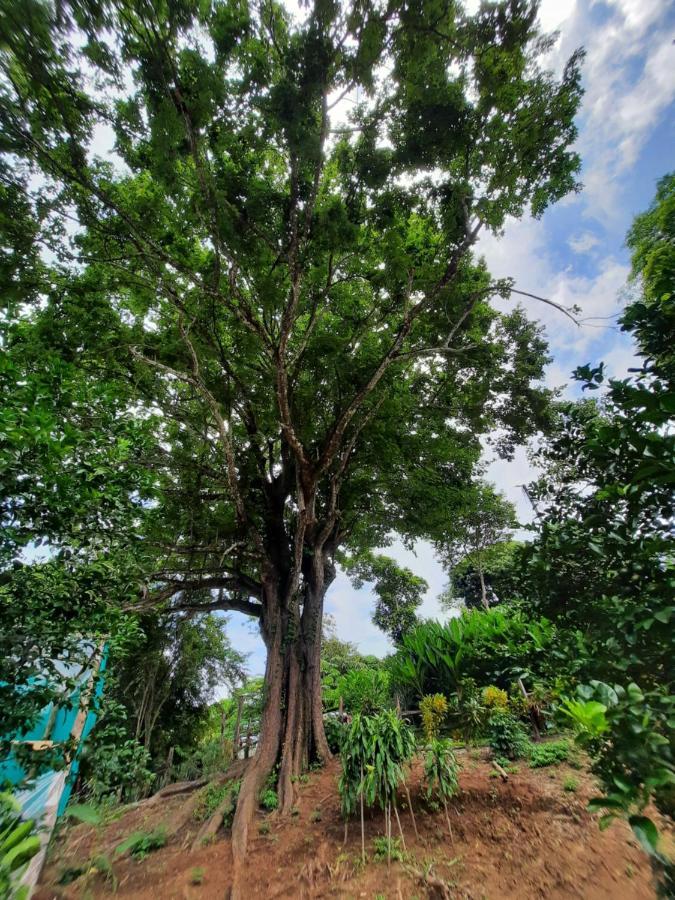 Eco-Turismo Guayacanes Sámara 외부 사진